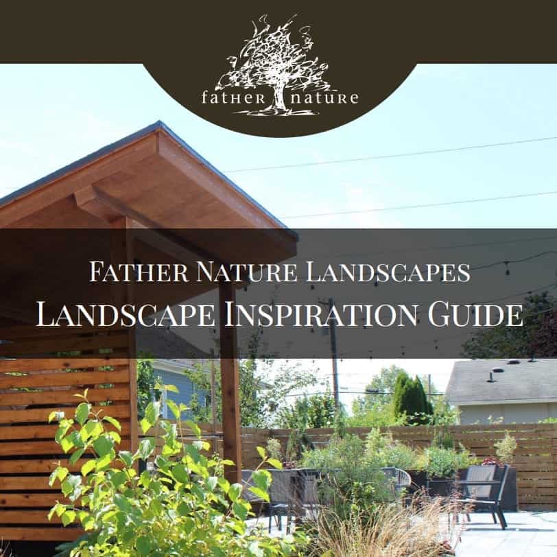Cover of the Father Nature Landscapes Landscape Inspiration Guide