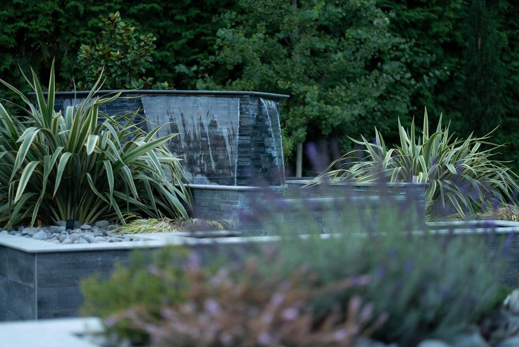 Barrett Tacoma Backyard Resort — image 6