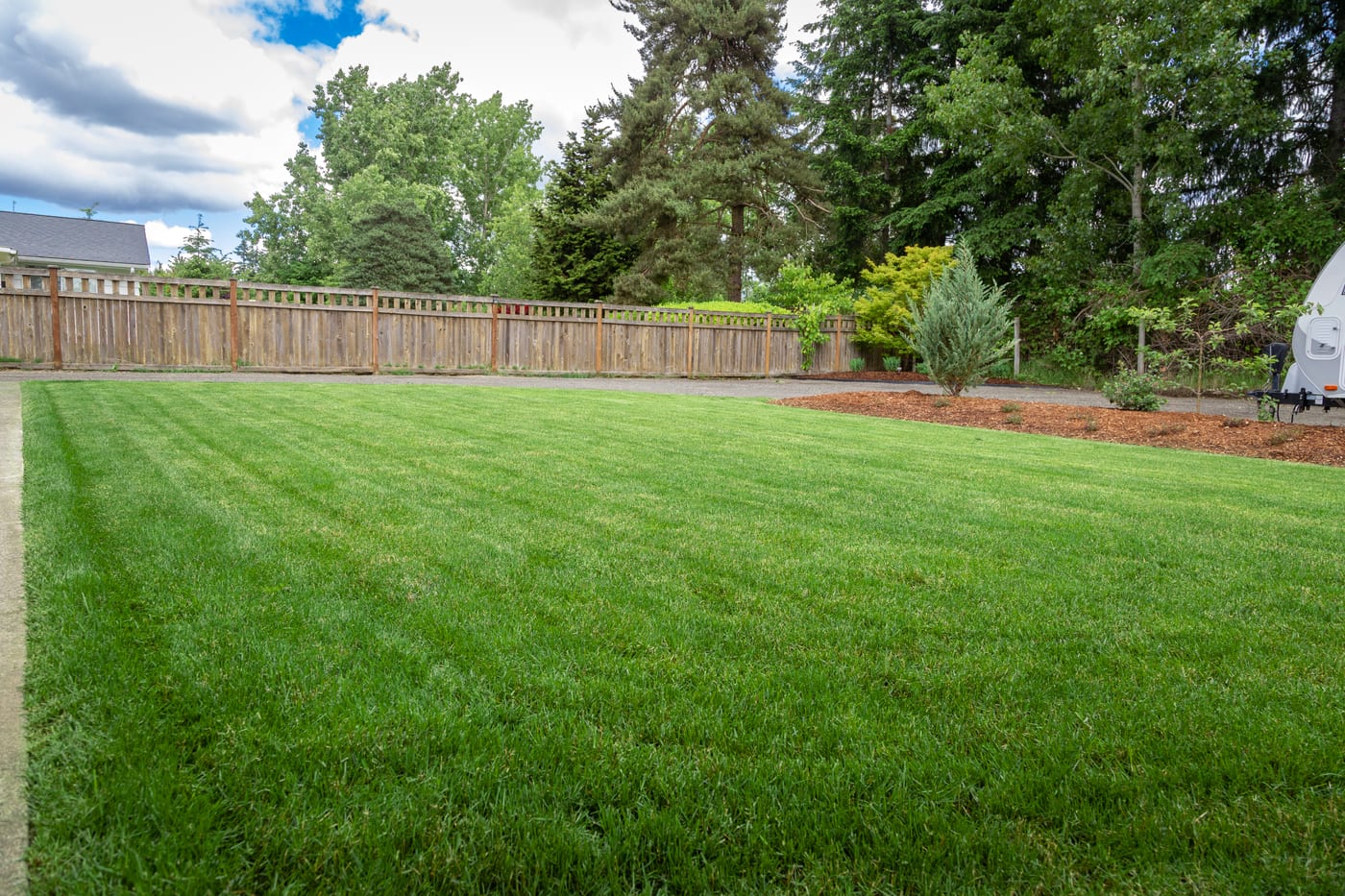 The new lawn and sprinkler system