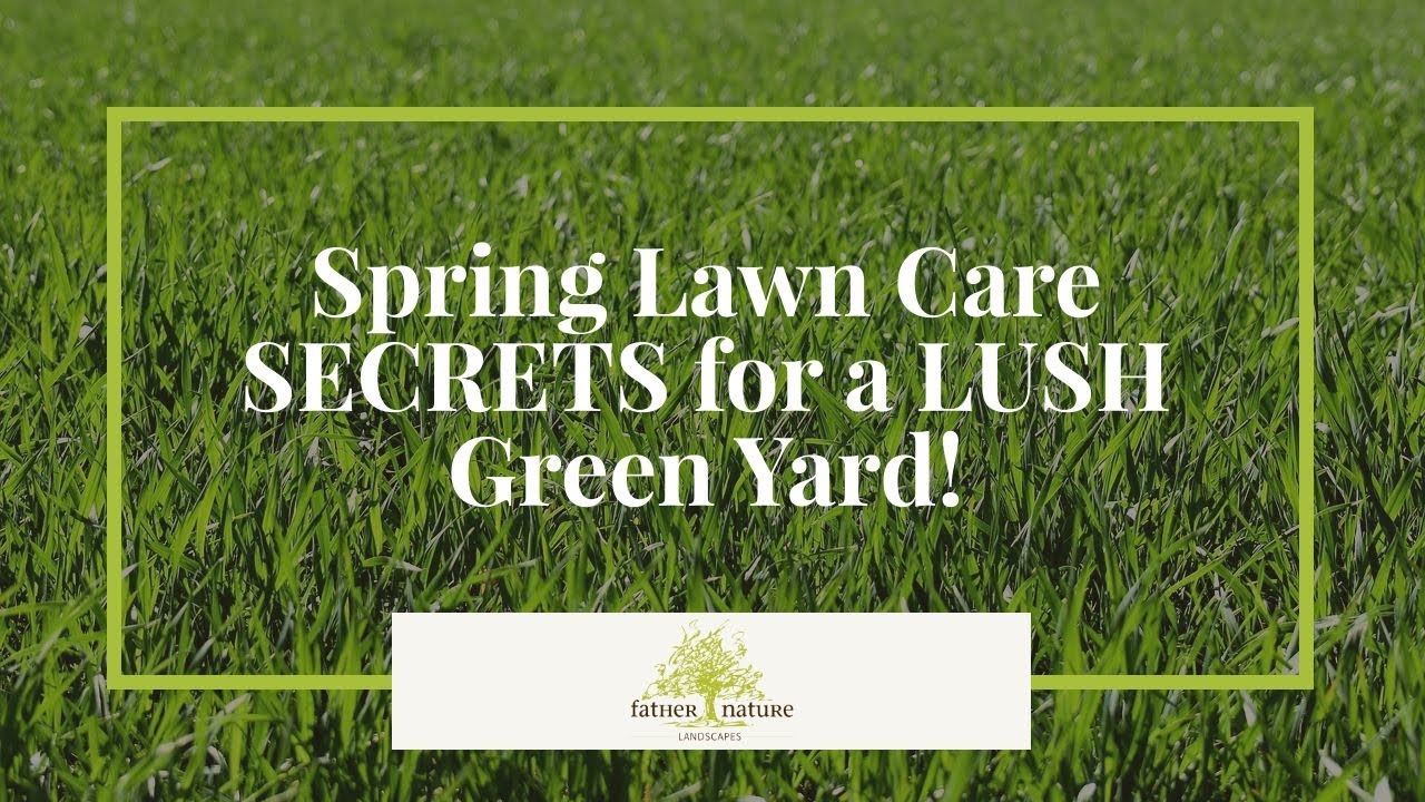 Spring Lawn Care SECRETS for a LUSH Green Yard!
