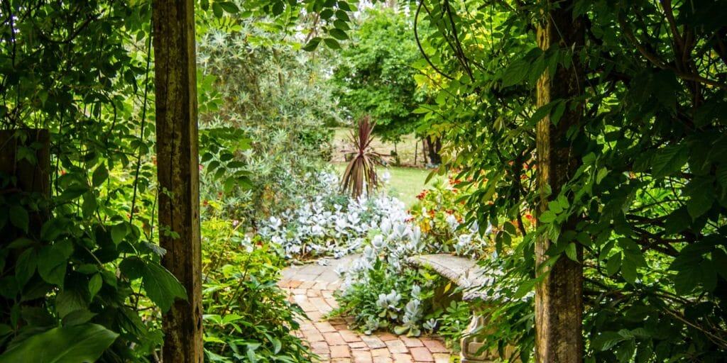 Amend Clay Soil Without Tilling