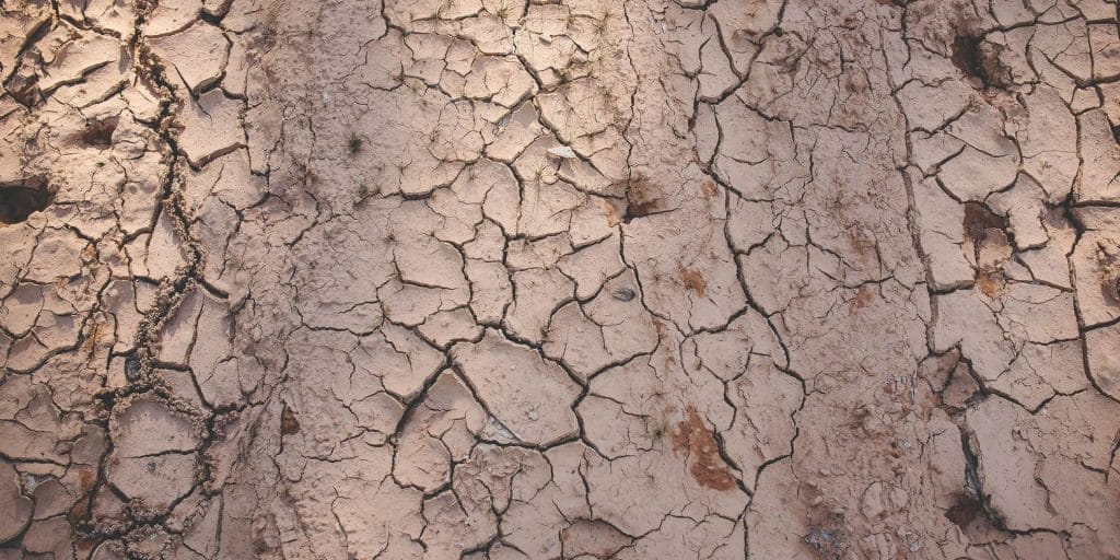 Amending Clay Soil Without Tilling