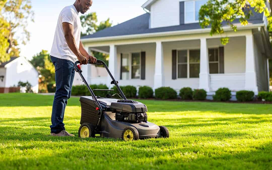 8 Lawn Care Tips for Homeowners in Tacoma