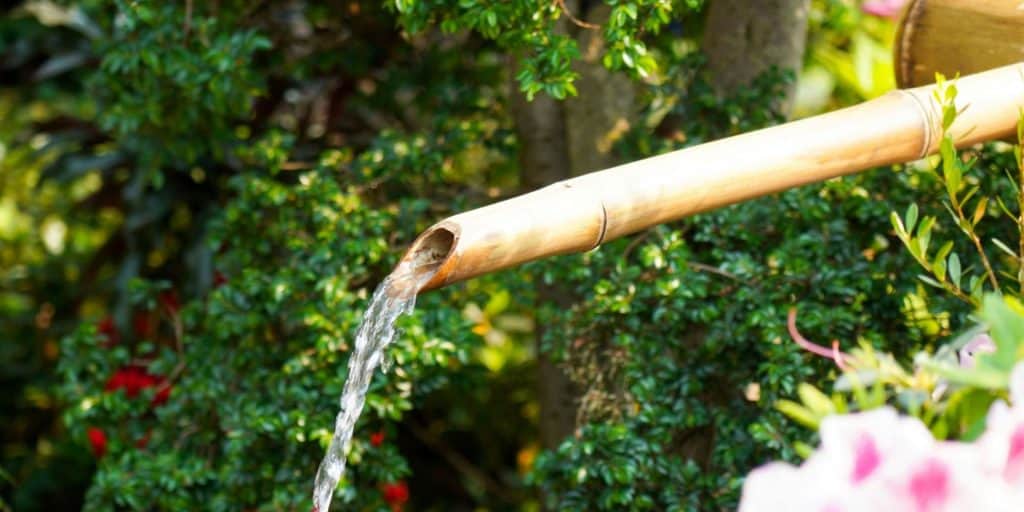 bamboo water a garden using sustainable irrigation methods