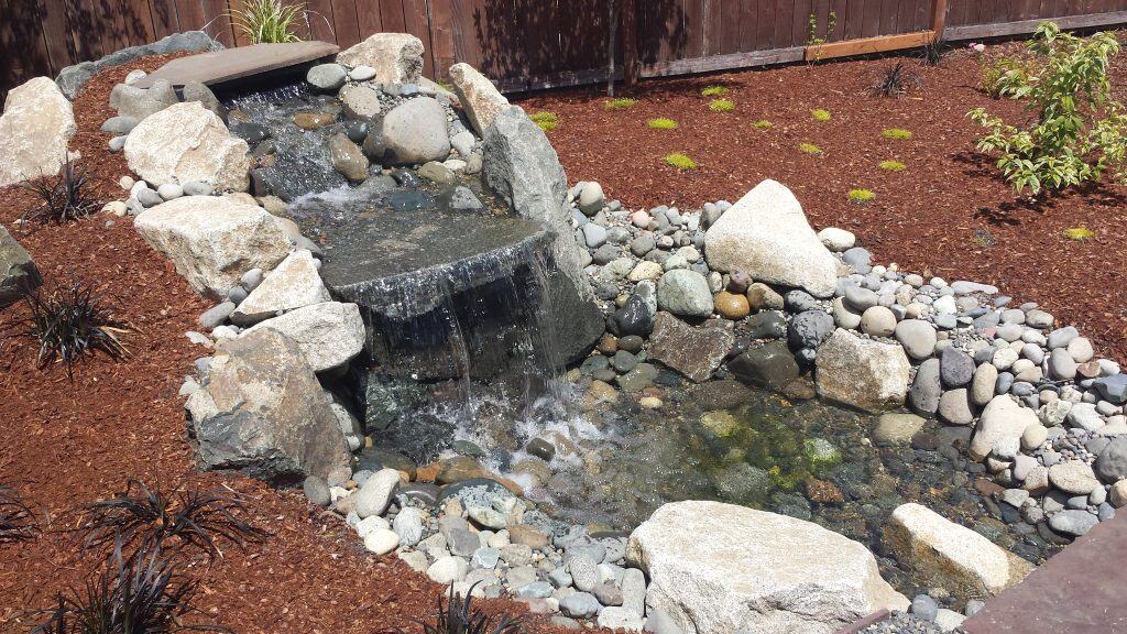 Water Features That Attract Local Wildlife